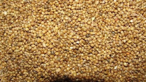 See full amazon price history chart for Taiyo Pluss Discovery Big Size Yellow Millets Bird Food - 1kg (for Finch Budgerigars Lovebirds Cockatiels) TAIYO PLUSS DISCOVERY Taiyo Pluss Discovery Big Size Yellow Millets Bird Food - 1kg (for Finch Budgerigars Lovebirds Cockatiels) TAIYO PLUSS DISCOVERY (B0839412G3) Amazon Price History, Amazon Price Tracker