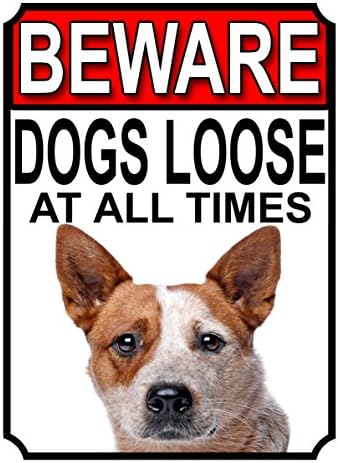 ALL BREEDS - BEWARE DOGS LOOSE AT ALL TIMES METAL SIGN GERMAN SHEPHERD 200MM X 150MM (998H1)