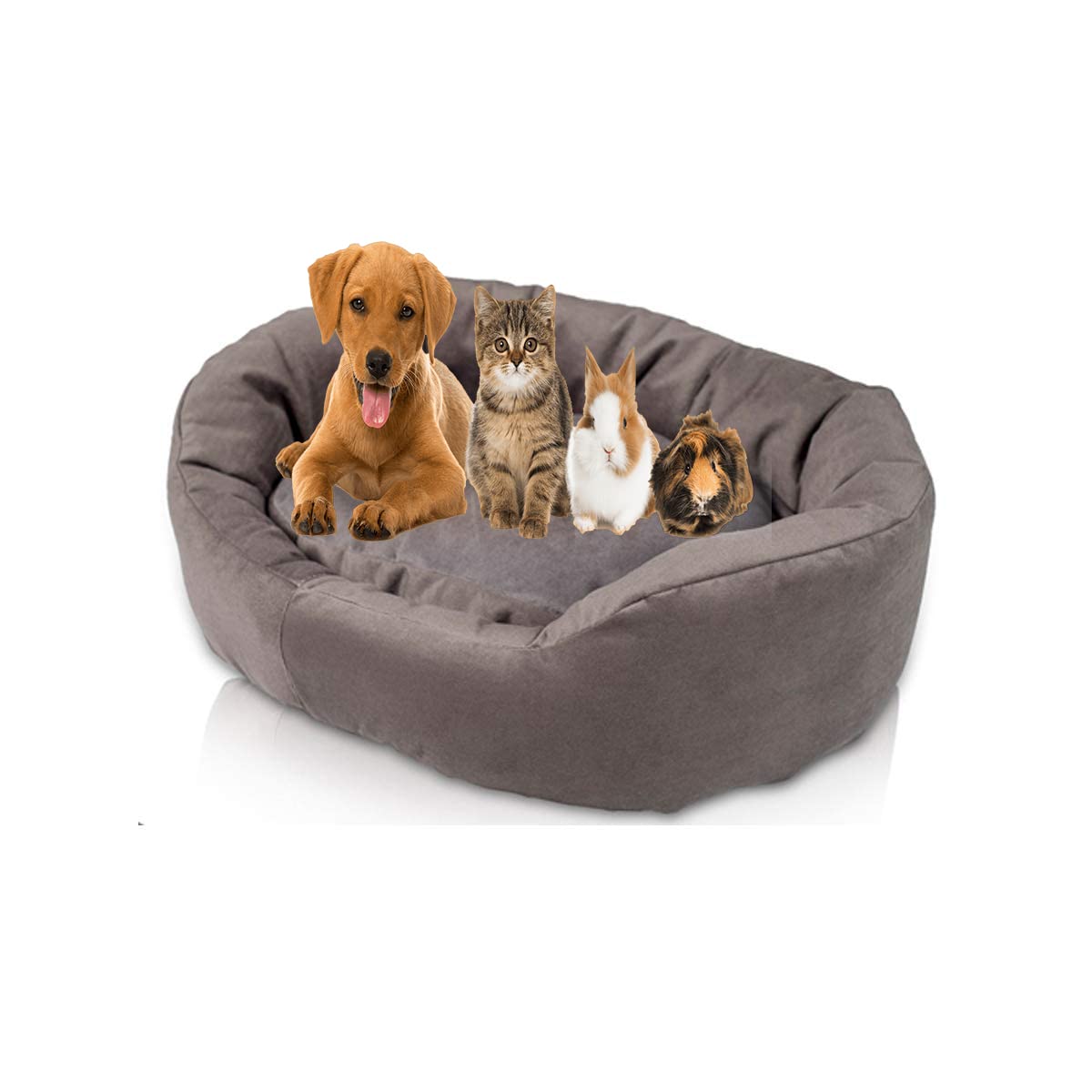 slatters be royal store Reversible Dual Ultra Soft Velvet Luxury Sofa Bed PET Bed | Dog Bed | CAT Bed | Puppies Puppy Bed | Rabbit Bed (Product Dimensions 121 * 121 * 20 in CM) (B0BFSHZHPT) Amazon Price History, Amazon Price Tracker