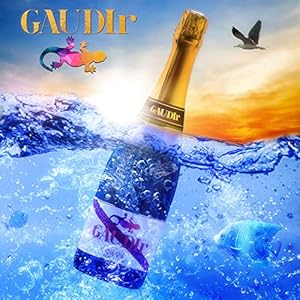 cava-vegano-regalo-feliz