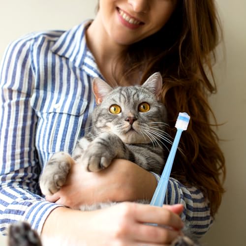 BOHUIZ 3-stück Katzen- und Hunde-Zahnbürste, 360 Grad Reinigung, Weiche Borsten, Pink, Blau, Grün