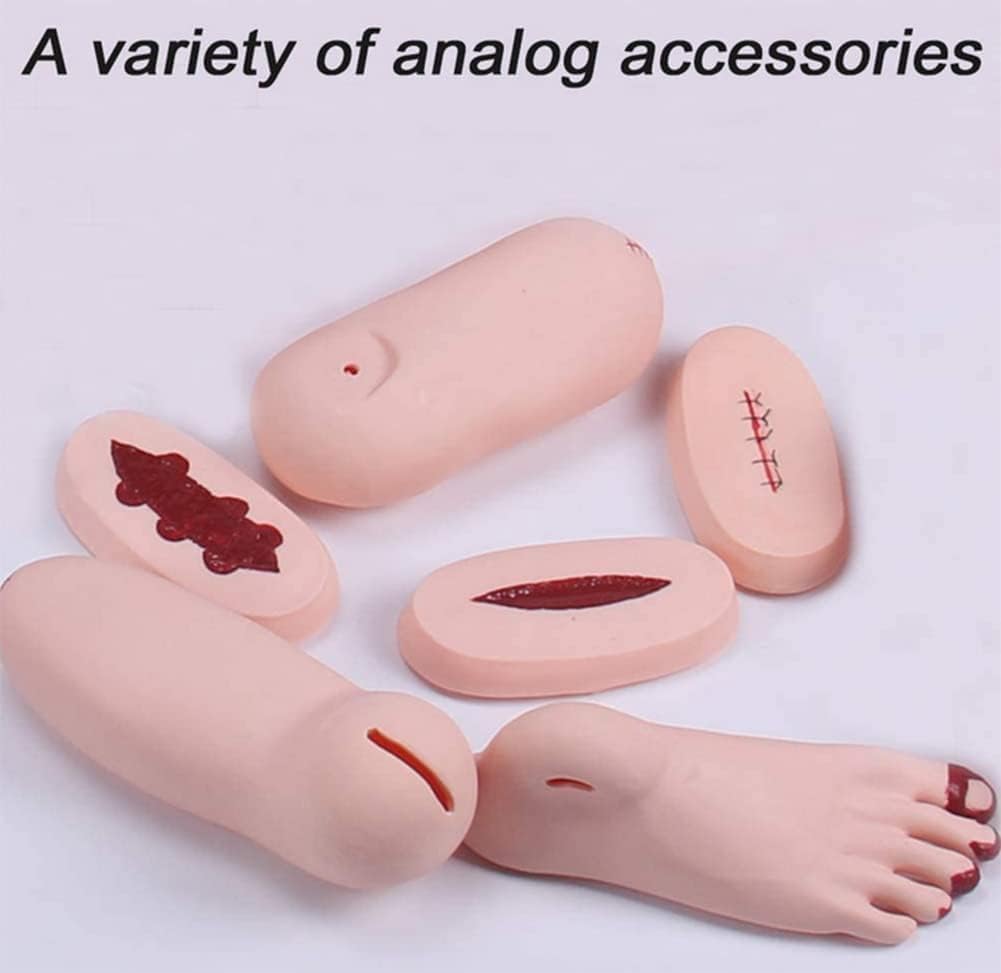 CHROX PVC-Multifunktionales Kombinations-Manikin-Modell, Patientenpflege-Simulator für Schüler, Trainingsfähigkeiten und Bildungsbedarf, Lebensgröße 170 cm