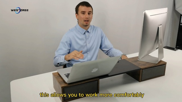 WESTREE Dual Monitor Stand Riser - 2 Planken Computer Stand met Verstelbare Lengte en Hoek voor 2 Monitoren, Desktop Organizer Stand voor PC, Computer Laptop WESTREE Dual Monitor Stand Riser - 2 Planken Computer Stand met Verstelbare Lengte en Hoek voor 2 Monitoren, Desktop Organizer Stand voor PC, Computer Laptop