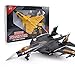 Regalo Aviones Militares Modelo Juguetes, 1/72 Escala F-22 Raptor de Combate Electro-óptico con los Regalos de los niños de Efectos de Sonido (Color: Gris) Asombroso (Color : Black)