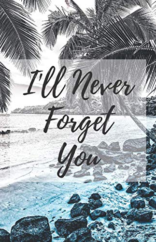 I'll Never Forget You: Small Password Journal and Alphabetical Tabs, Logbook To Protect Usernames and Passwords, Simple Password Keeping Notebook, Log