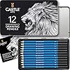 Castle Art Supplies Set de 12 Crayons à Dessiner en Graphite | Pour les Artistes Adultes – Débutants et Avancés | Présentés dans un Étui en Métal Attrayant, Compact et Robuste avec Tutoriel Fourni