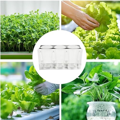 Bols de germination durables pour station de propagation extérieure