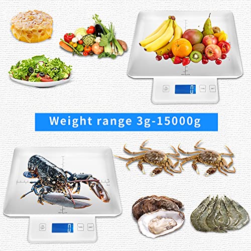 Digital-Pet-Scale-for-Small-Animal-Whelping-ScaleMini-Precision-Gram-Weight-Balance-Scale-High-Precision-1g-Suitable-for-Newborn-Pets