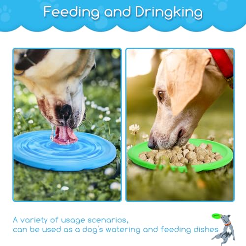 Nobleza Hundefrisbee, 2 Stück 20cm Hundefrisbee aus Natürlichem Kautschuk, Hundespielzeug Frisbee für Land und Wasser (Blau + Grün)