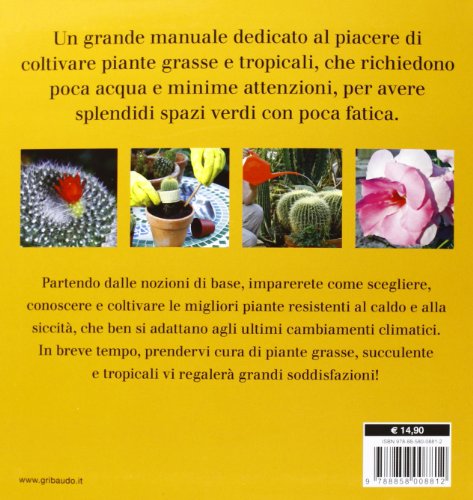 Piante grasse succulente e subtropicali. il verde