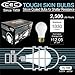 CEC Industries TS100 A19 Frosted Incandescent Replacement Edison Bulb, Silicone-Coated, 130V, 100W, E26 Medium Screw Base, Soft White (6-Pack)