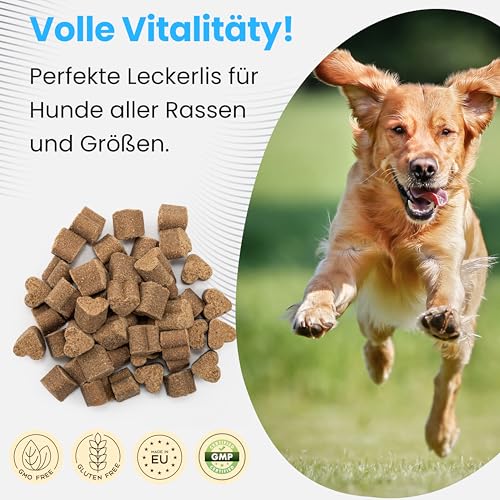 Dogs Valley Vitamine für Hunde Peak Calm - 90Stk Hundeleckerlis – Natürliches Entspannungsleckerli mit Baldrian, L-Theanin, L-Tryptophan, Ashwagandha - zur Stress & Angstlinderung, Lebergeschmack