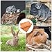 balacoo 1pack Pet Cage Cushion Reusable Animal Diaper Mat Washable Hamster Pee Mat Liners for Rabbit Guinea Pig Cage Supplies