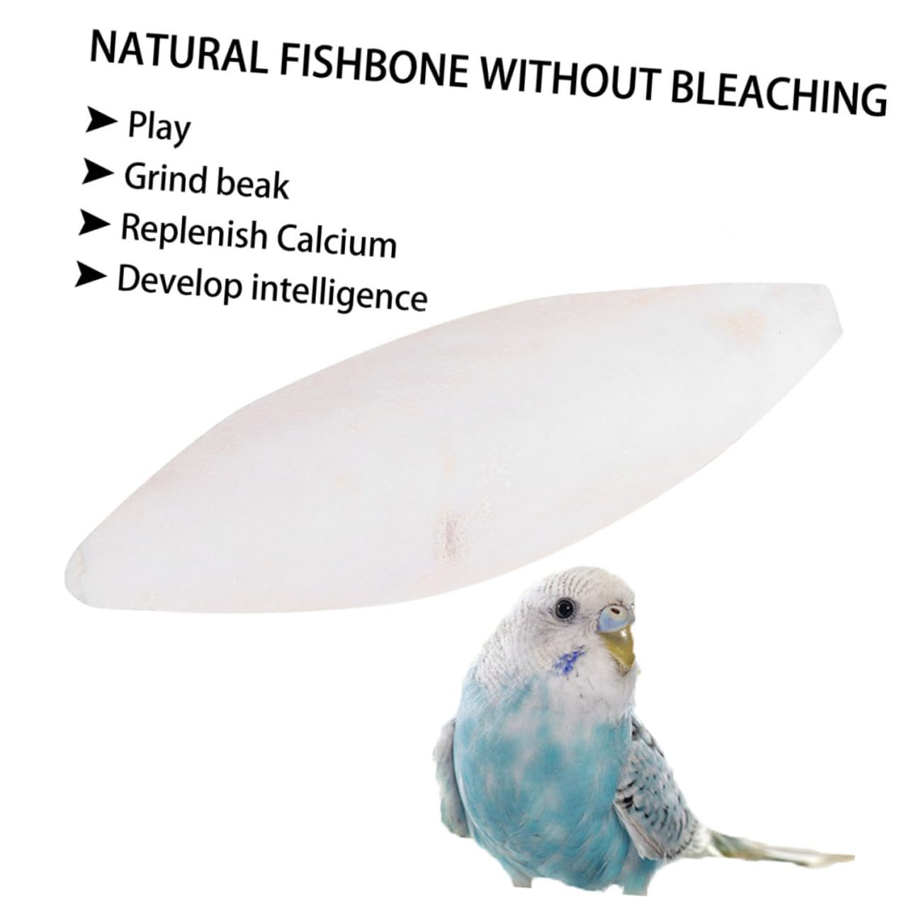 Mipcase 50pièces Jouets à Mâcher pour Perroquets De Seiche Jouets pour Oiseaux avec Design Pendentif Adaptés Aux Perruches Et Perroquets Accessoires Sûrs Et pour Jeu Et Entretien