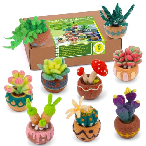 Axmru Needle Felting Kits for Beginners Adults 9 Pcs Succulent