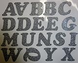 DIY 2-Inch Iron-On Letters in Silver Glitter