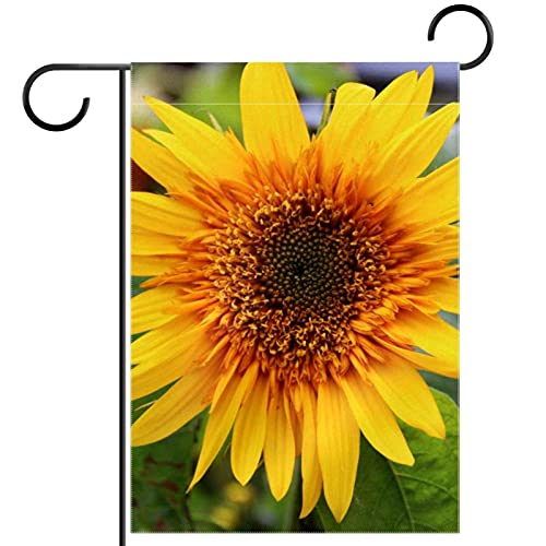 Drapeau de bienvenue tournesol dans l'allée de maison pour ambiance estivale fleurie