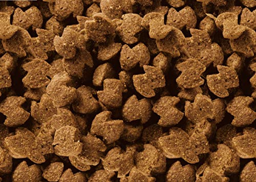 Eukanuba Daily Care Sensitive Digestion Hundefutter - Trockenfutter für Hunde mit sensibler Verdauung, Magenfreundlich mit leicht verdaulichem Reis, 2,5 kg