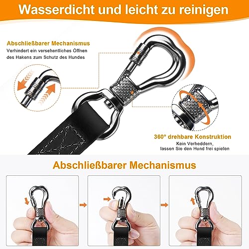 Balade avec longe X XBEN pour chiens