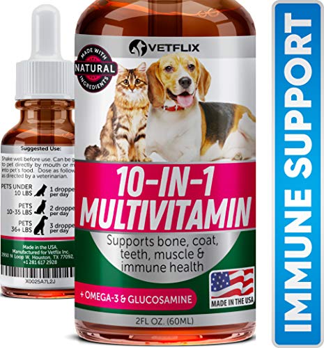 Best All Natural Multivitamin For Dogs