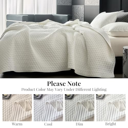 WARMDERN Luxury Velvet Quilt Set Queen Size, Cross Stitch Quilts Striped Bedding Set, Soft Lightweight Bedspread and Coverlet with 2 Pillow Shams for All Season, White, 90" x 96"