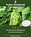 30 Stk. Trauben-Schutzbeutel, Größe: 23x15 cm, mit Zugband, Zum Schutz vor Wespenfrass, Vögel, Kirschessigfliege und andere Insekten. Frucht-Schutzbeutel , Organzabeutel (moosgrün)