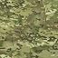 Multicam