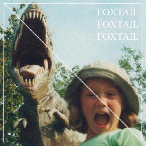 Foxtail Dogs The 15 best products compared Wild Explained