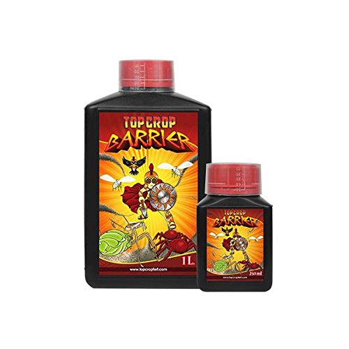 Crop Top – Barrier – 1L