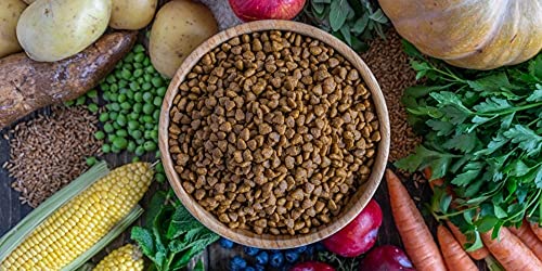 VeggieAnimals - Pienso 100% Vegetal para Gatos, 2 kg