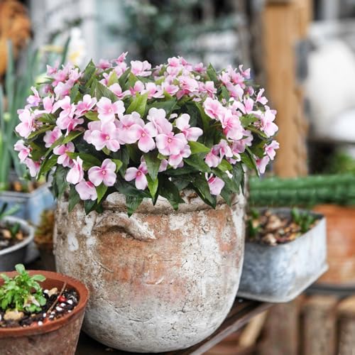 FAICOIA 8 Pcs Artificial Impatiens Flowers for Outdoors Faux Impatiens Bushes Pink Silk Flowers Greenery Artificial Impatiens Bouquet for Patio Lawn Garden Pot Hanging Basket Porch Decoration - Image 6