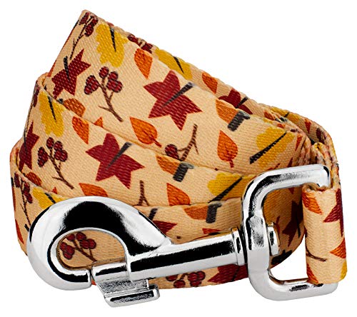 Country Brook Design - Fall Foliage Dog Leash - Awesome Autumn Collection Featuring Designs You Will Fall for (6 Foot, 1 Inch Wide)