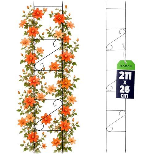 KADAX Rankgitter 210cm, Rankhilfe aus Stahl, Kletterhilfe für...