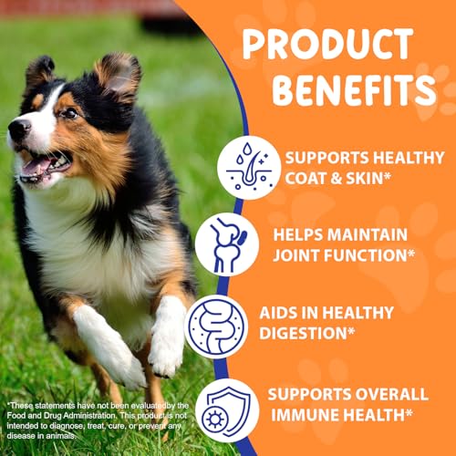 Kollagen Hund 60ml, Liquid Collagen for Dogs, Flüssiges Kollagen für Hunde Gelenke, Haut und Fell, Collagen Hund mit Biotin & MSM, Unterstützen Juckende Haut Relief und die Verdauungsgesundheit