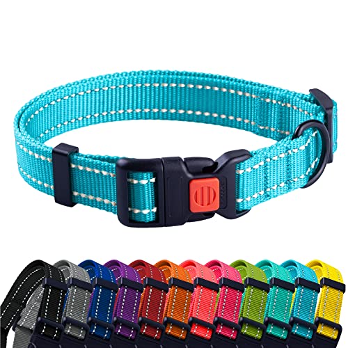 CollarDirect-Reflective-Dog-Collar-for-a-Small-Medium-Large-Dog-or-Puppy-with-a-Quick-Release-Buckle-Boy-and-Girl-Nylon-Suitable-for-Swimming-Light-Blue-14-18-Inch CollarDirect Reflective Dog Collar for a Small, Medium, Large Dog or Puppy with a Quick Release Buckle - Boy and Girl - Nylon Suitable for Swimming (Light Blue, 14-18 Inch) - Image 1