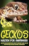  Geckos halten für Anfänger: Wie die Geckohaltung leicht gelingt und Sie die häufigsten Fehler sicher vermeiden - inkl. Tipps für den Gecko Kauf