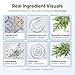 Hair Revival Ampoule, Orrenaturals Hair Growth Serum Roll on, Scalp with Pumpkin Seed Extract, Aloe Vera, and Menthol for Thicker, Healthier Hair, 60ml(2)