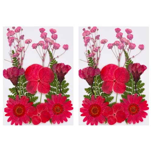 20 Ԏ^pRtA[gNtgXNbvubLOWG[쐬vXp[eB[̑