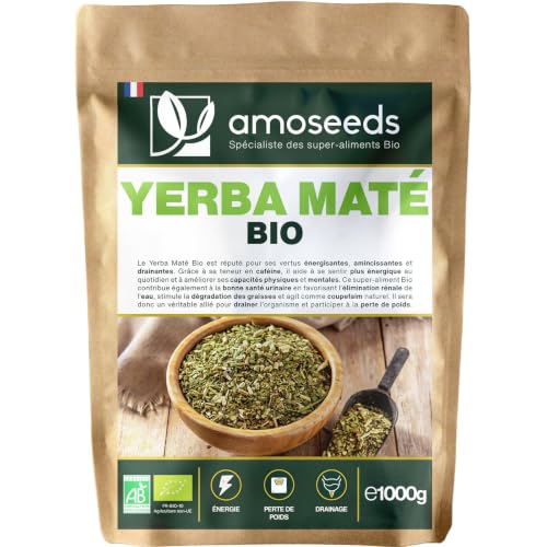 Yerba Maté vert BIO 1kg | Brésilien, Non fumé | 100% feuilles, sans tiges