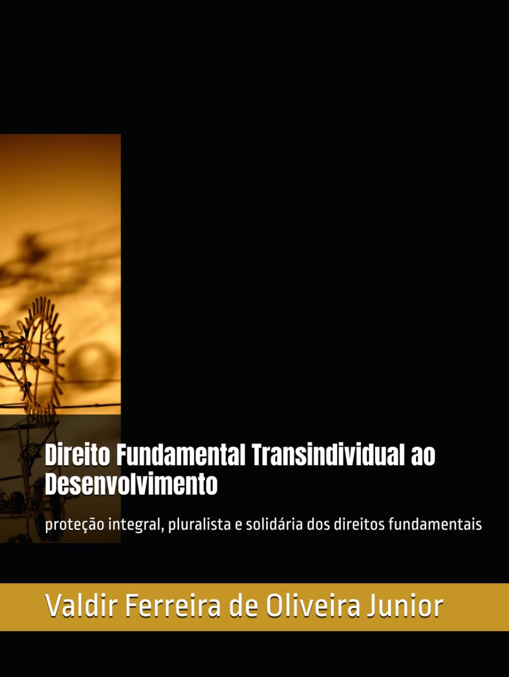 Direito Fundamental Transindividual ao Desenvolvimento: proteção integral, pluralista e solidária dos direitos fundamentais