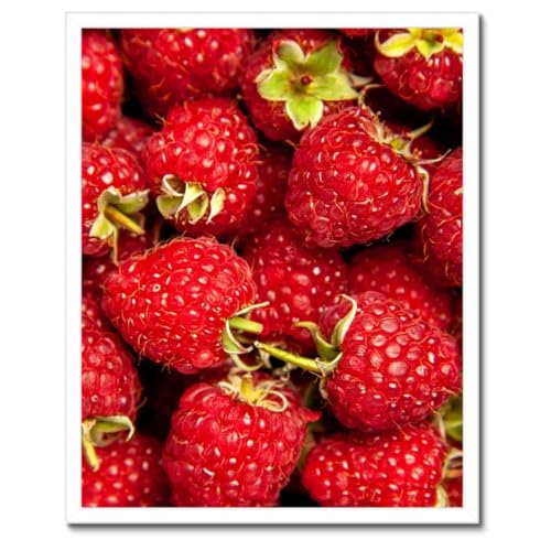 Framboises mûres poster sous cadre noir 40x50 cm pour sublimer une salle à manger moderne