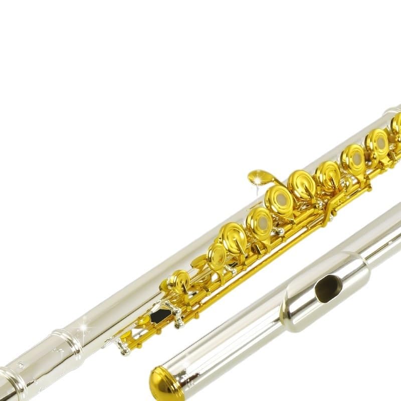 Flet poprzeczny Srebrny ustnik fletowy instrument Srebrny ustnik profesjonalny 17-dołkowy flet orkiestrowy o specjalnej klasie wydajności