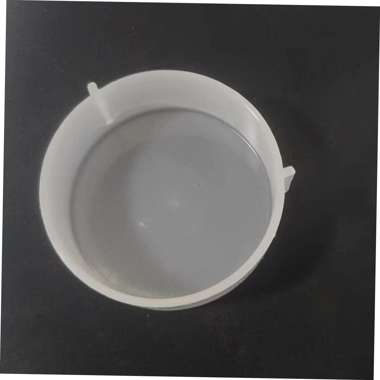 YARNOW 16 Pezzi Rettile Acqua Alimentatore Lucertola Ciotola per Bere Rettile Piatto di Alimentazione Ciotola di Acqua del Serpente Ciotola di Porcellino D'India Scatole di Alimentazione