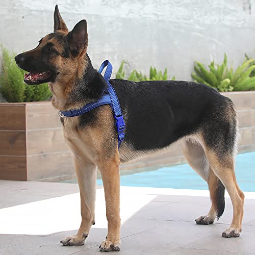 Image of Plutus Pet No Pull Dog Harness for Large Dogs, Breathable Mesh Padded