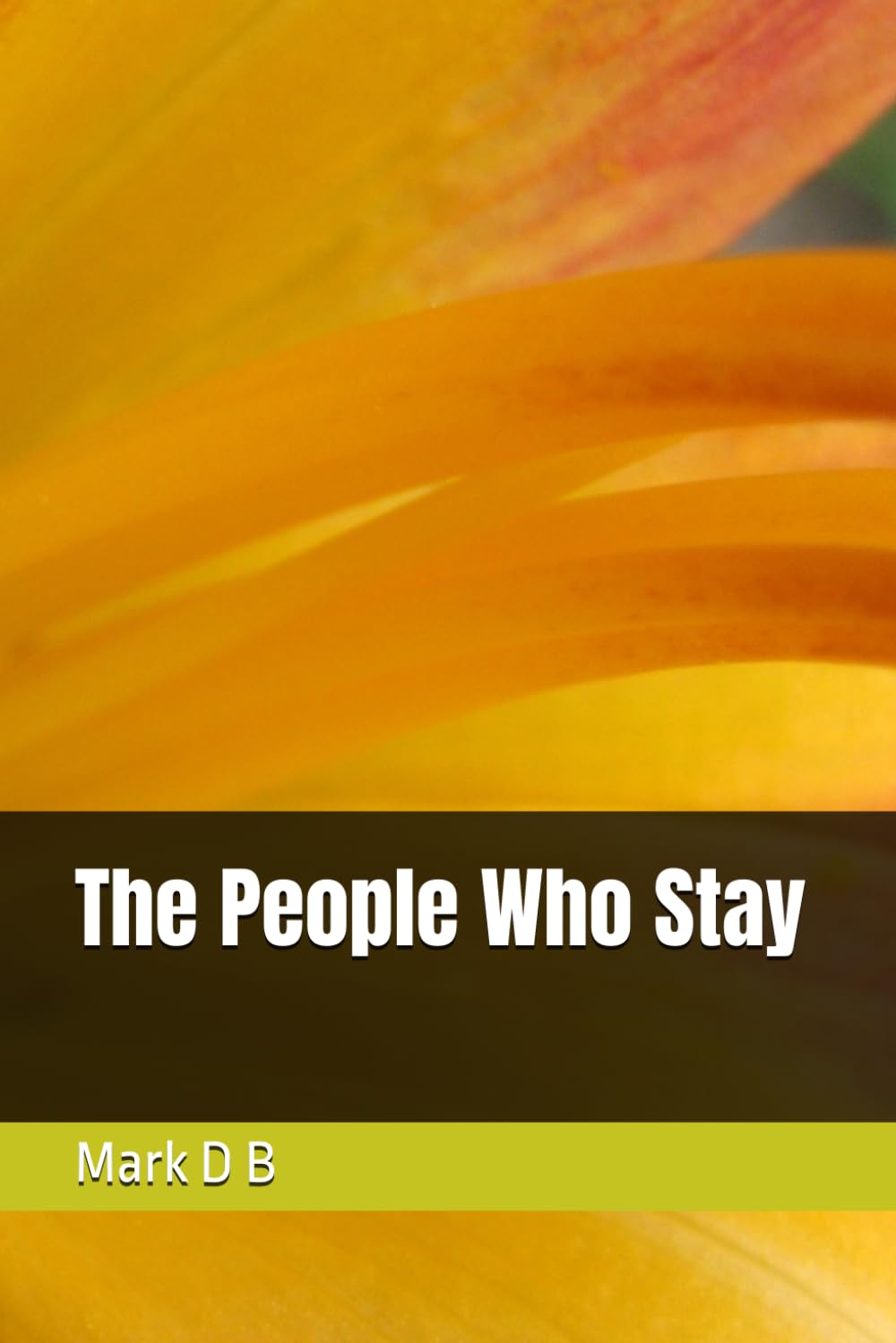 The People Who Stay