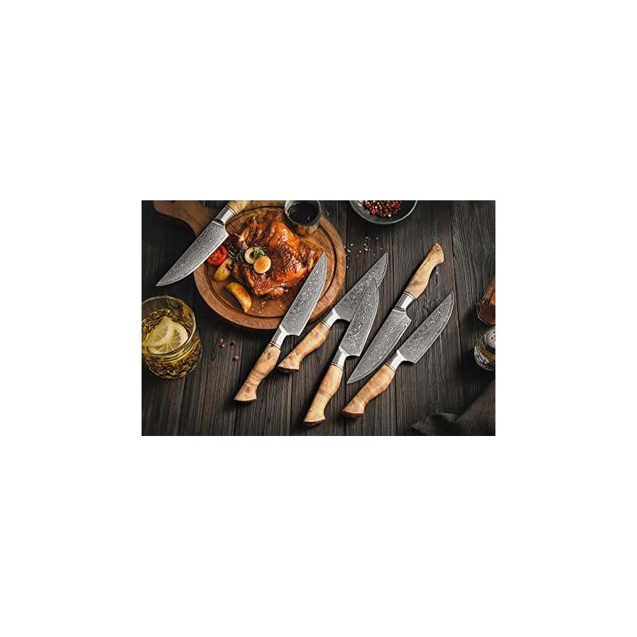 HEZHEN-6PCS-Kitchen-Knife-Set-Professional-Forged-Damascus-High-Carbon-Steel-Steak-Knife-Figured-Sycamore-Wood-Handle-Porcelain-Gift-Package HEZHEN 6PCS Kitchen Knife Set Professional Forged Damascus High Carbon Steel Steak Knife Figured Sycamore Wood Handle-Porcelain Gift Package