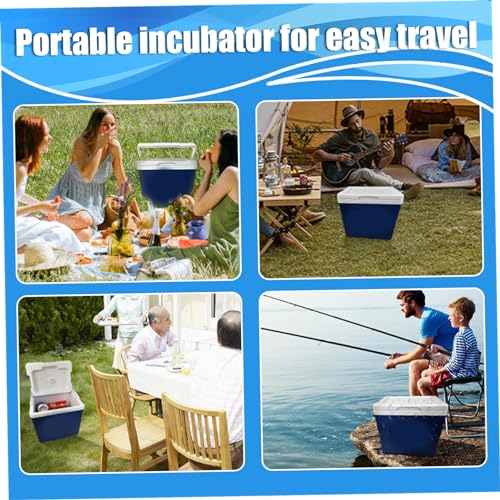 Mini glacière rigide isolée 10L avec poignée pour camping - 6