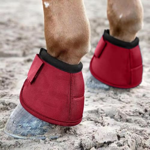 Botas para cuidado de los caballos en entrenamientos y paseos libres 6