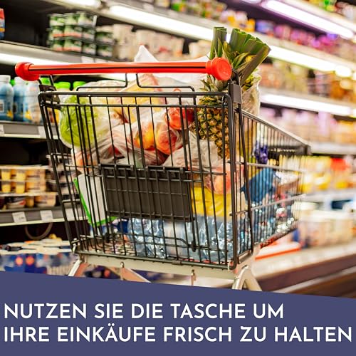 Vaily Kühltasche 30L - Faltbare Thermotasche für Auto, Strand und Reisen - Große Kühlbox für Lunch, Picknick und Camping 2