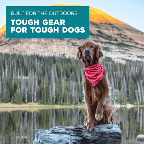 Image of Wilderdog Dog Bandana with Lightweight Quick Drying Poly-Blend Mesh Material in Papaya